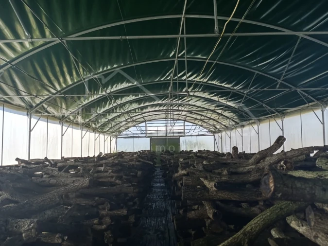 Terreno para Venda em Lardosa Foto 15