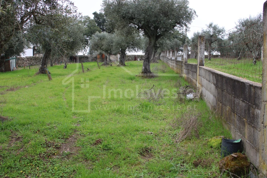 Terreno para Venda em Alcains Foto 2