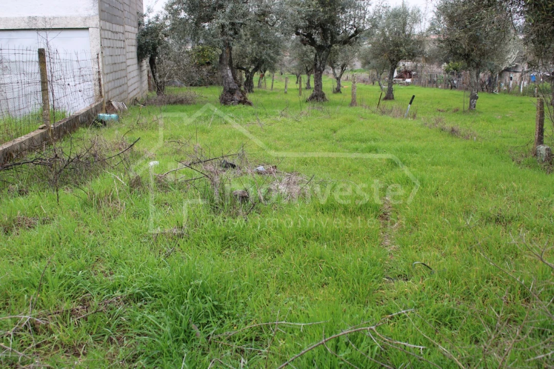 Terreno para Venda em Alcains Foto 4