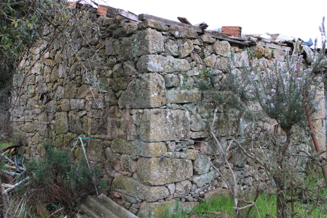 Terreno para Venda em Alcains Foto 6