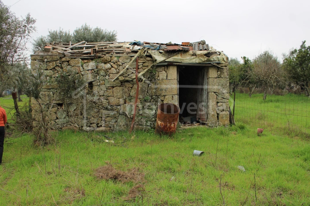 Terreno para Venda em Alcains Foto 1
