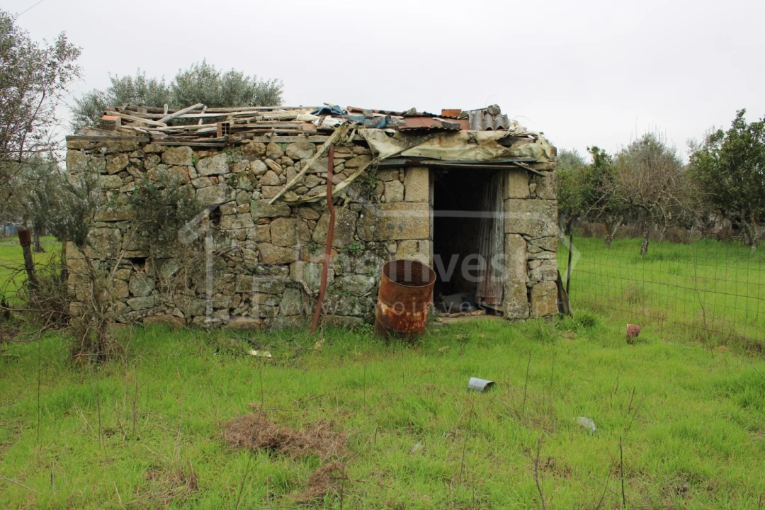 Terreno para Venda em Alcains Foto 7
