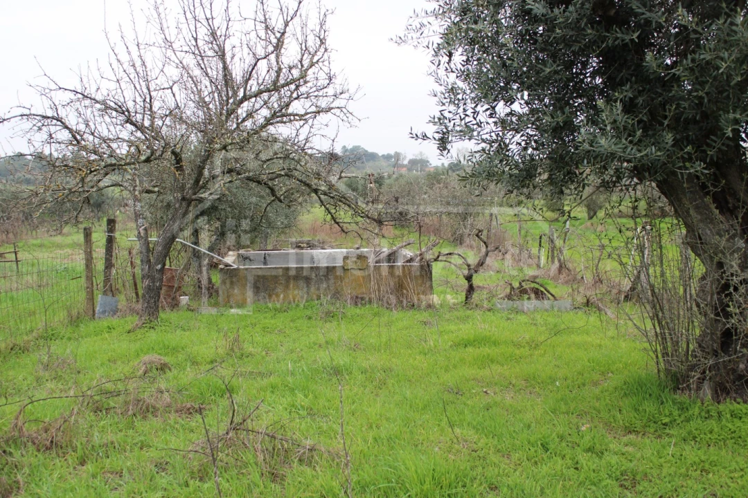 Terreno para Venda em Alcains Foto 8