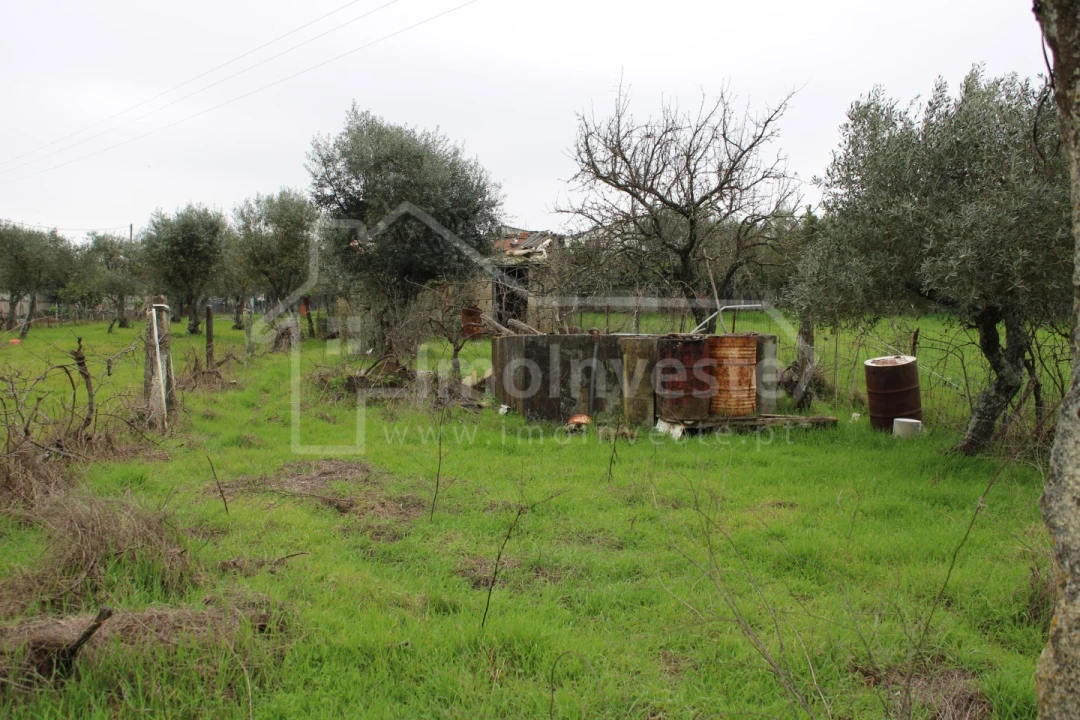 Terreno para Venda em Alcains Foto 10
