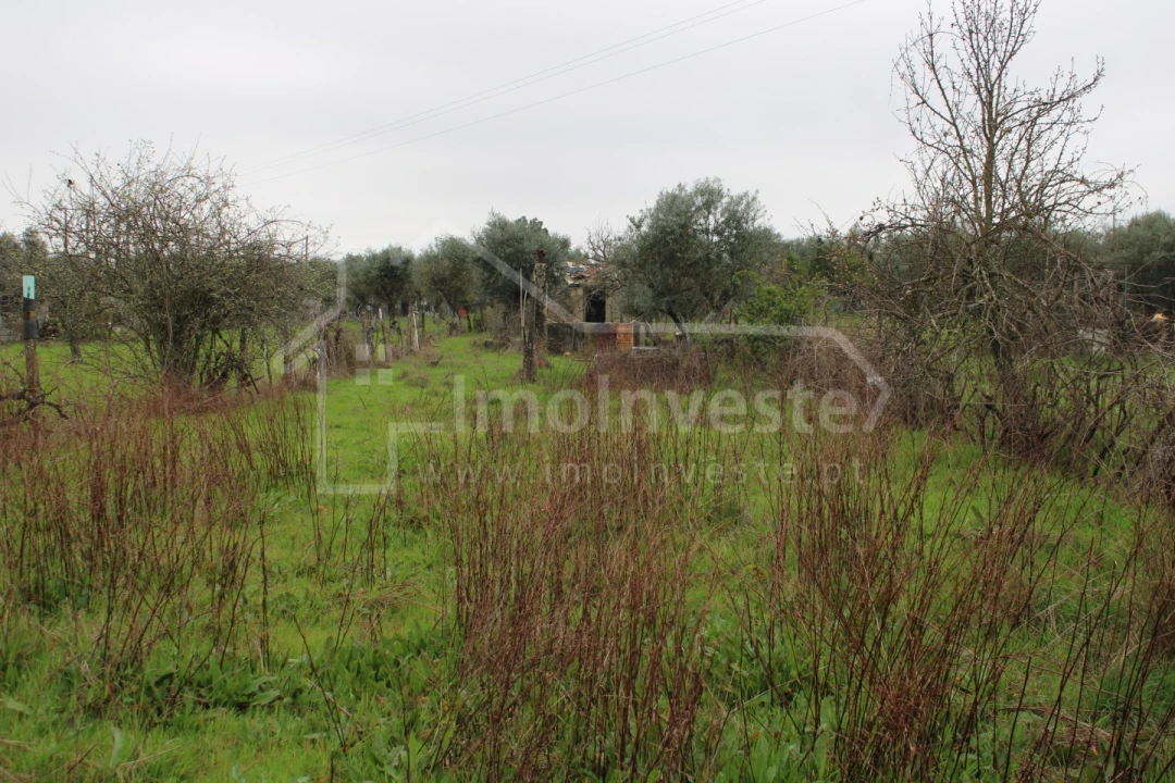 Terreno para Venda em Alcains Foto 11