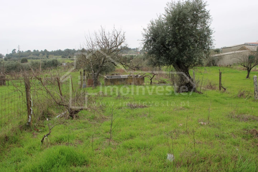 Terreno para Venda em Alcains Foto 12
