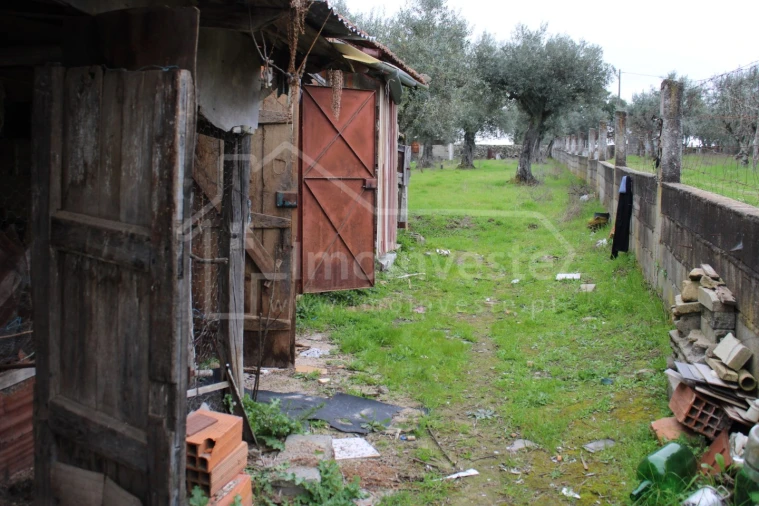 Terreno para Venda em Alcains Foto 3