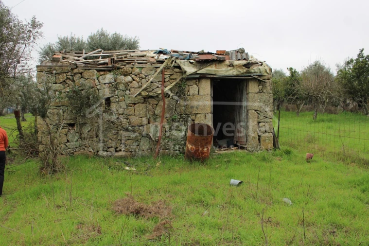 Terreno para Venda em Alcains Foto 1