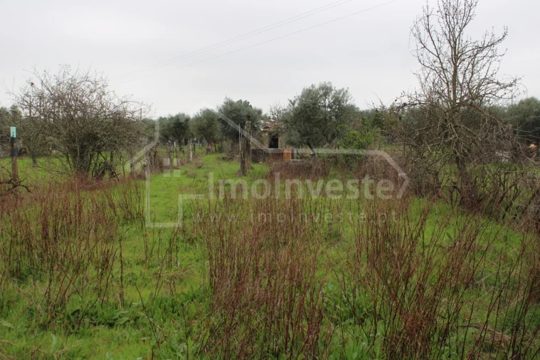 Terreno para Venda em Alcains Foto 11