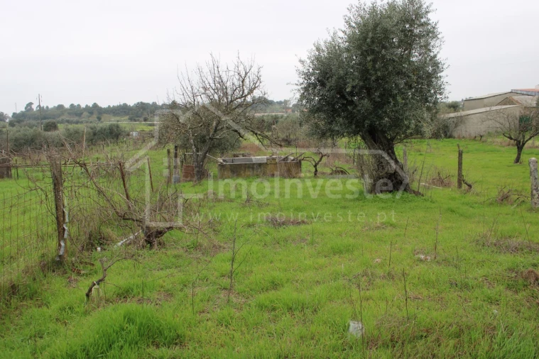 Terreno para Venda em Alcains Foto 12