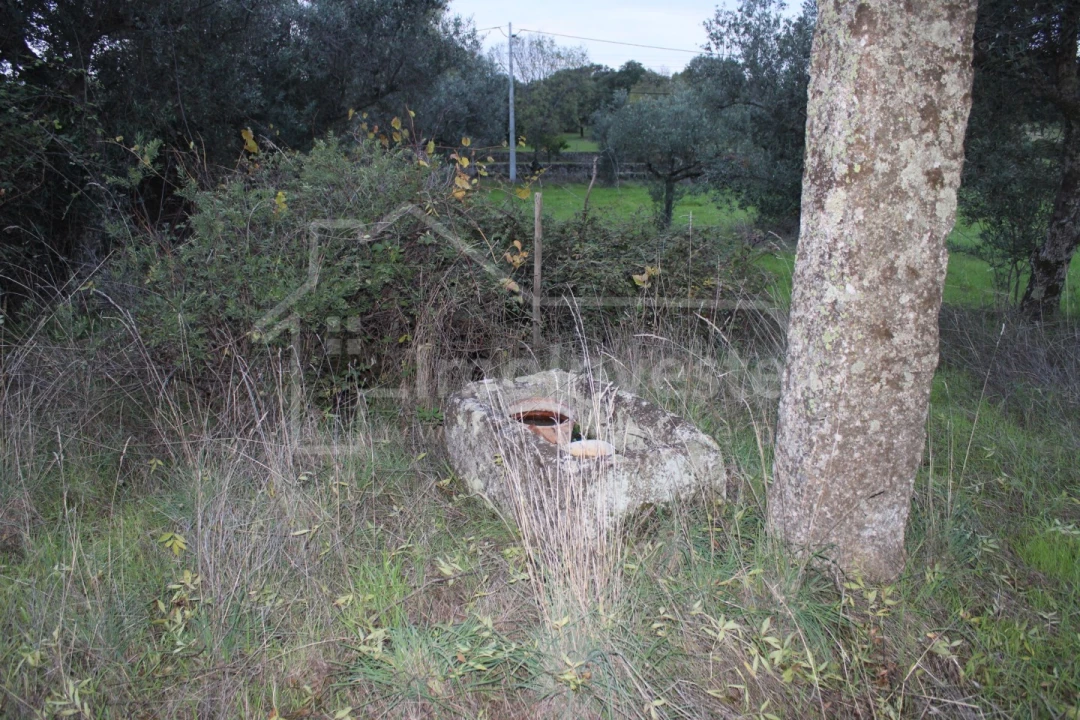 Terreno para Venda em São Miguel de Acha Foto 4