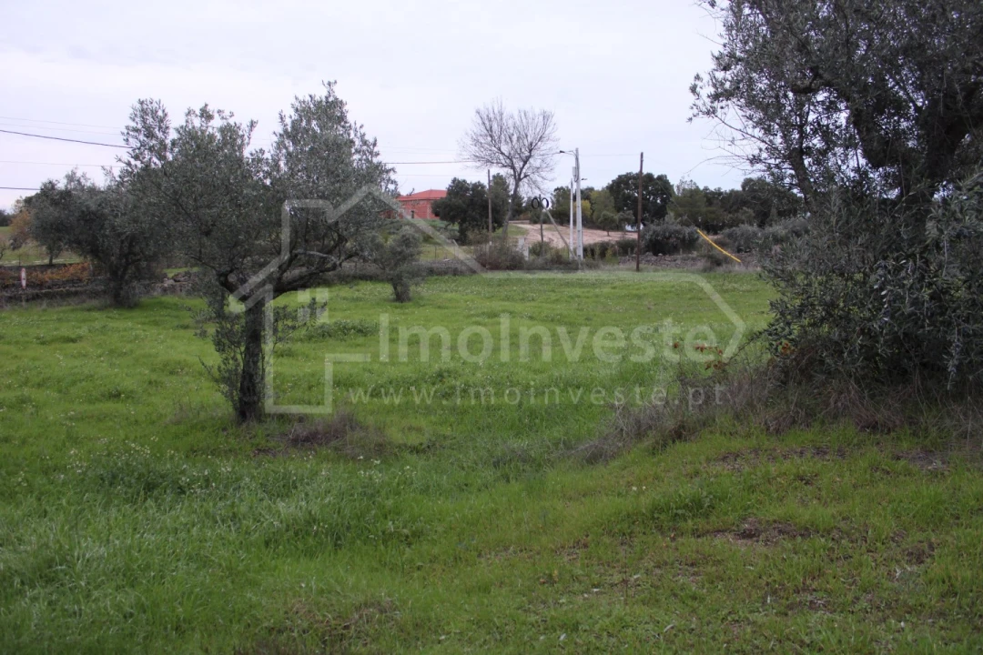 Terreno para Venda em São Miguel de Acha Foto 5