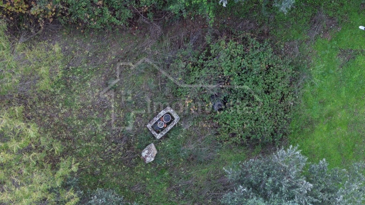 Terreno para Venda em São Miguel de Acha Foto 13