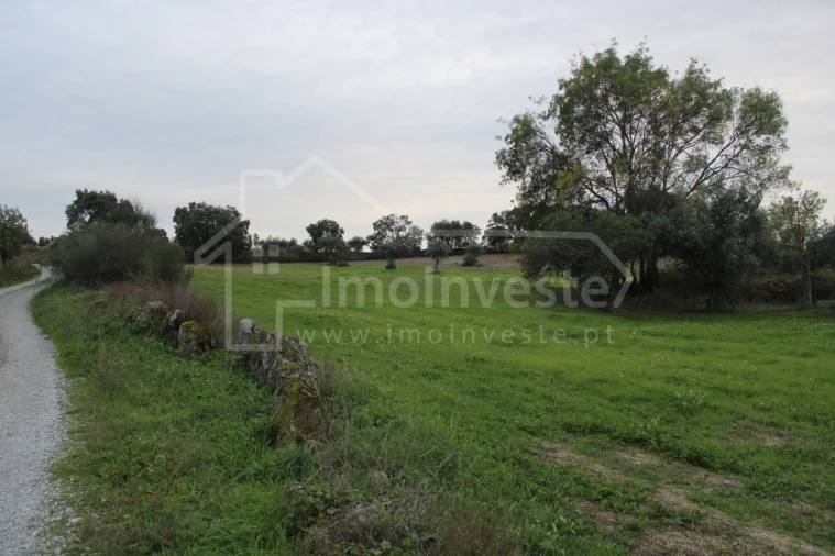 Terreno para Venda em São Miguel de Acha Foto 1
