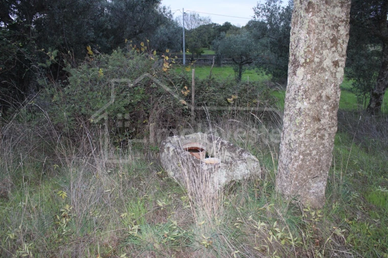 Terreno para Venda em São Miguel de Acha Foto 4