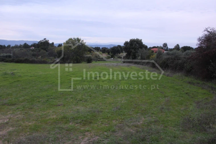 Terreno para Venda em São Miguel de Acha Foto 9