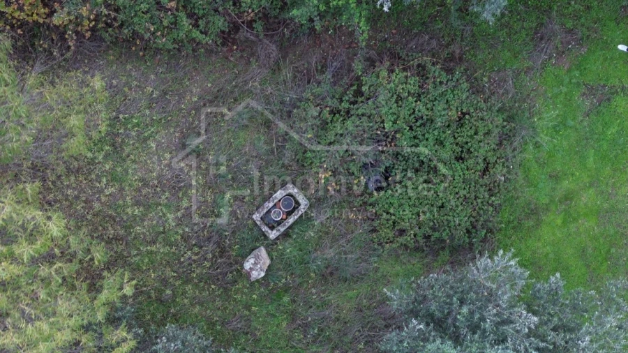 Terreno para Venda em São Miguel de Acha Foto 13