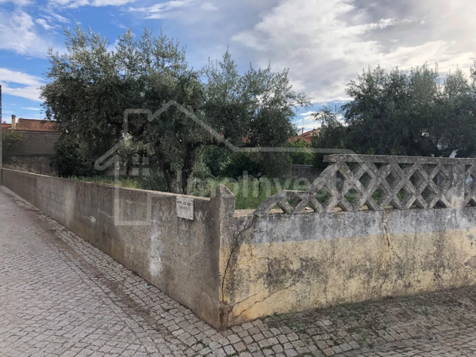 Terreno para Venda em Lardosa Foto 6