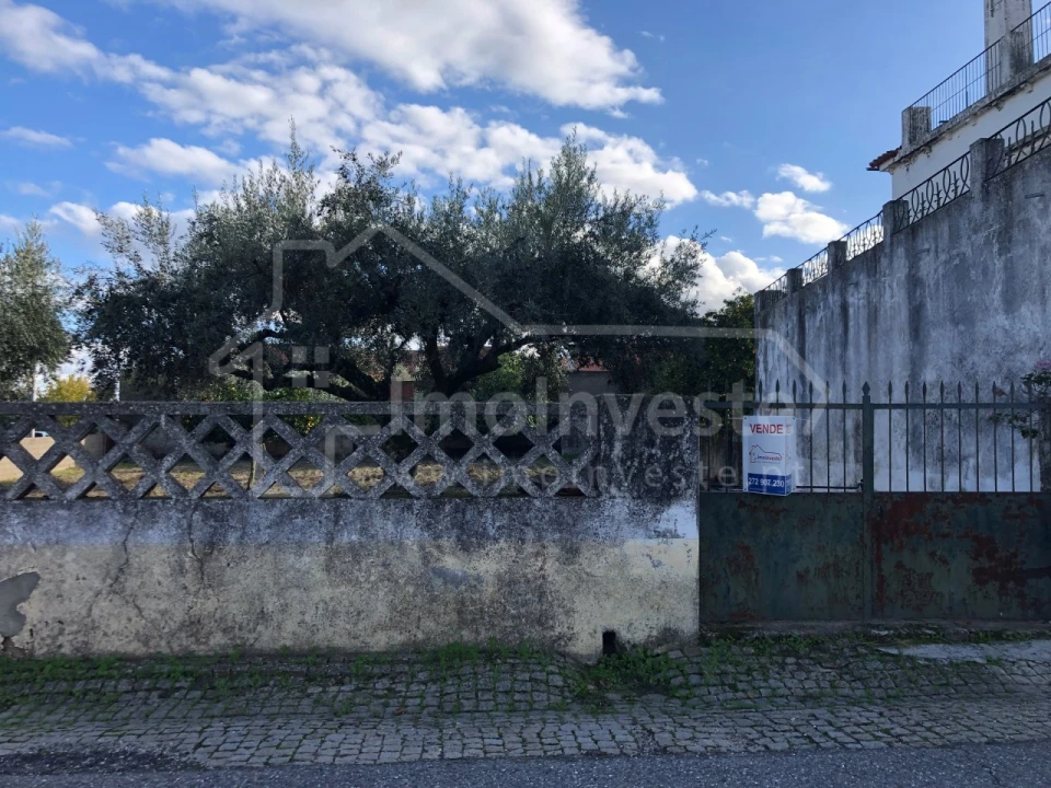 Terreno para Venda em Lardosa Foto 3