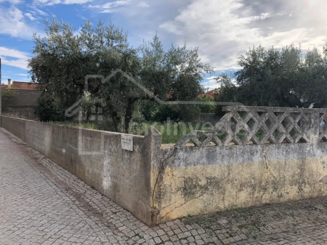Terreno para Venda em Lardosa Foto 6