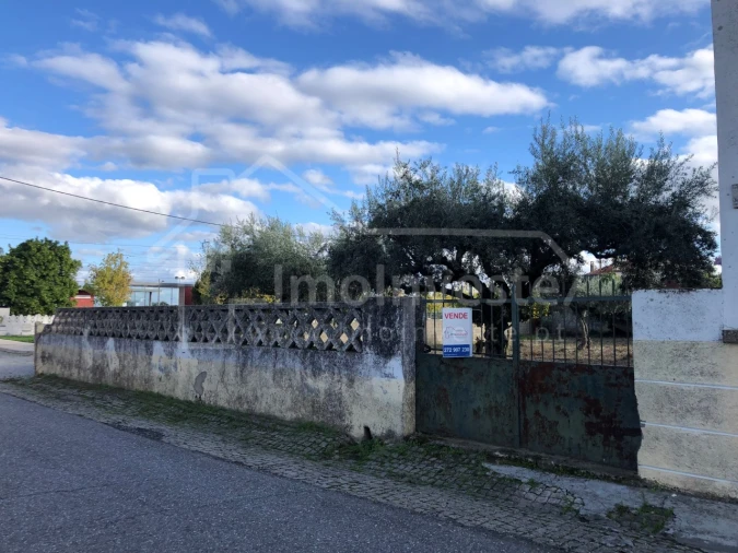 Terreno para Venda em Lardosa Foto 2