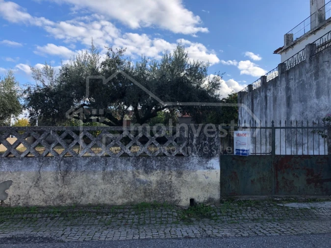 Terreno para Venda em Lardosa Foto 3