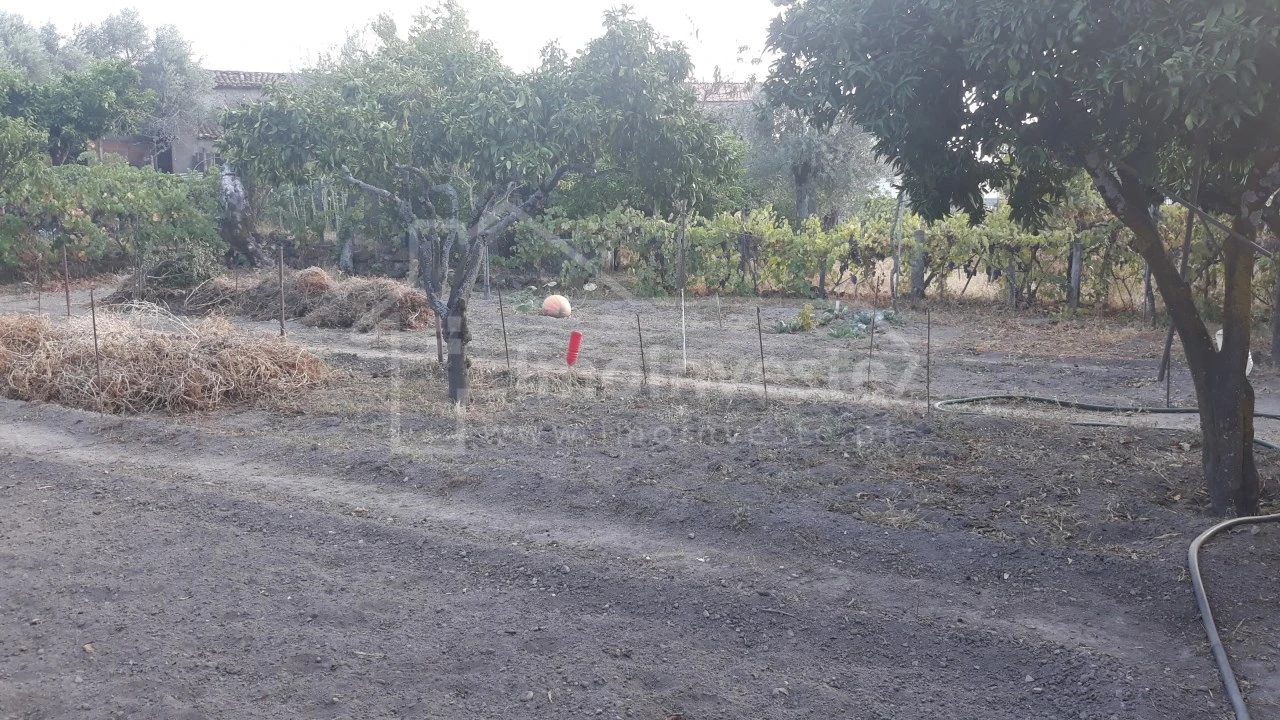 Terreno para Venda em Alcains Foto 5