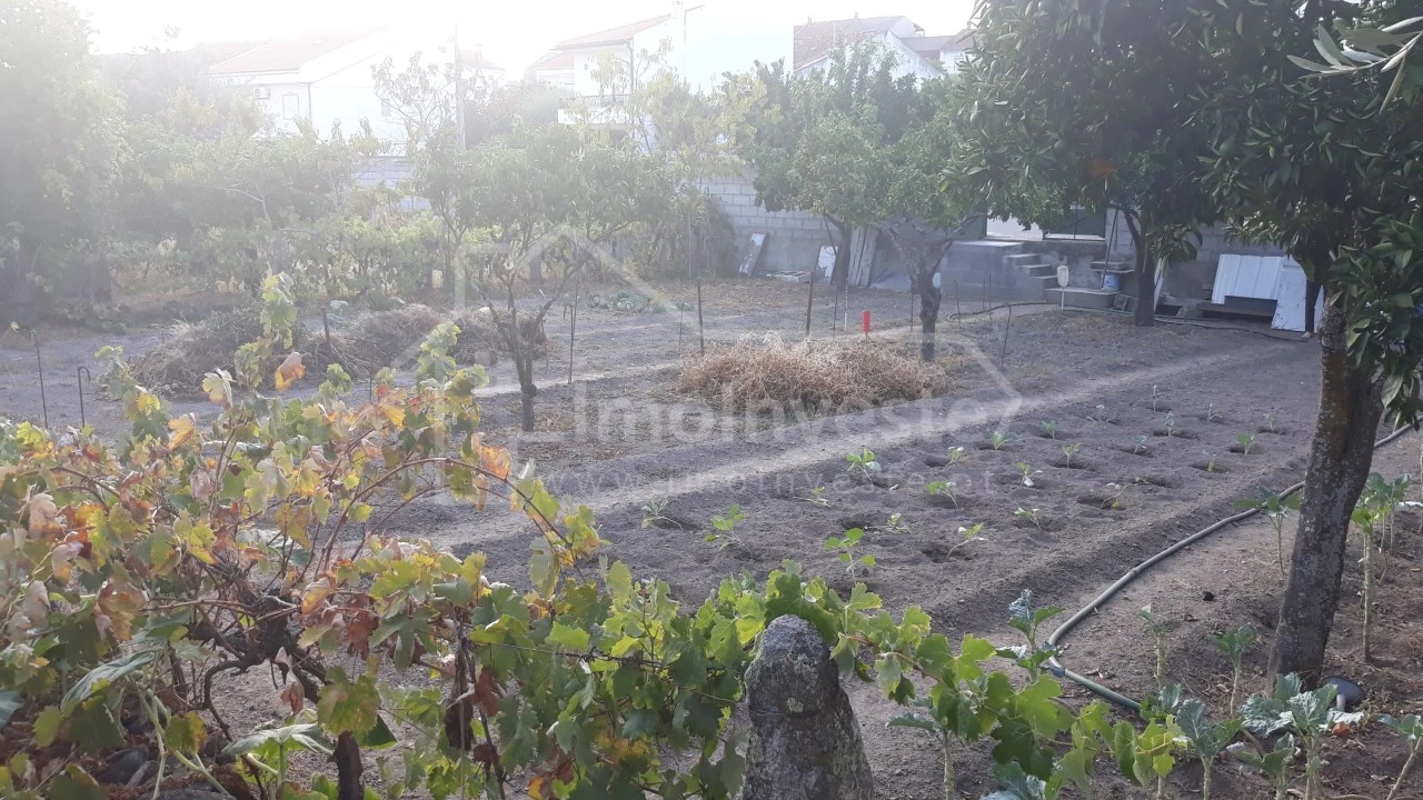 Terreno para Venda em Alcains Foto 7