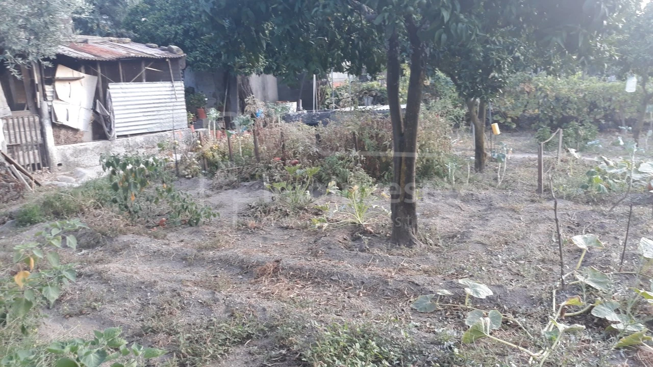 Terreno para Venda em Alcains Foto 9