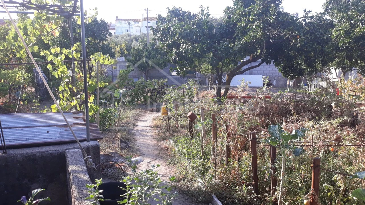 Terreno para Venda em Alcains Foto 13