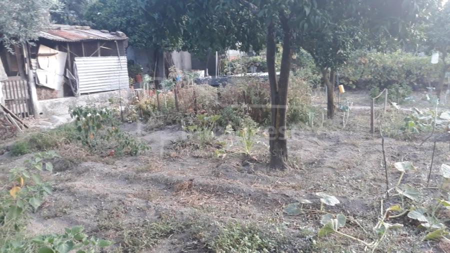 Terreno para Venda em Alcains Foto 9