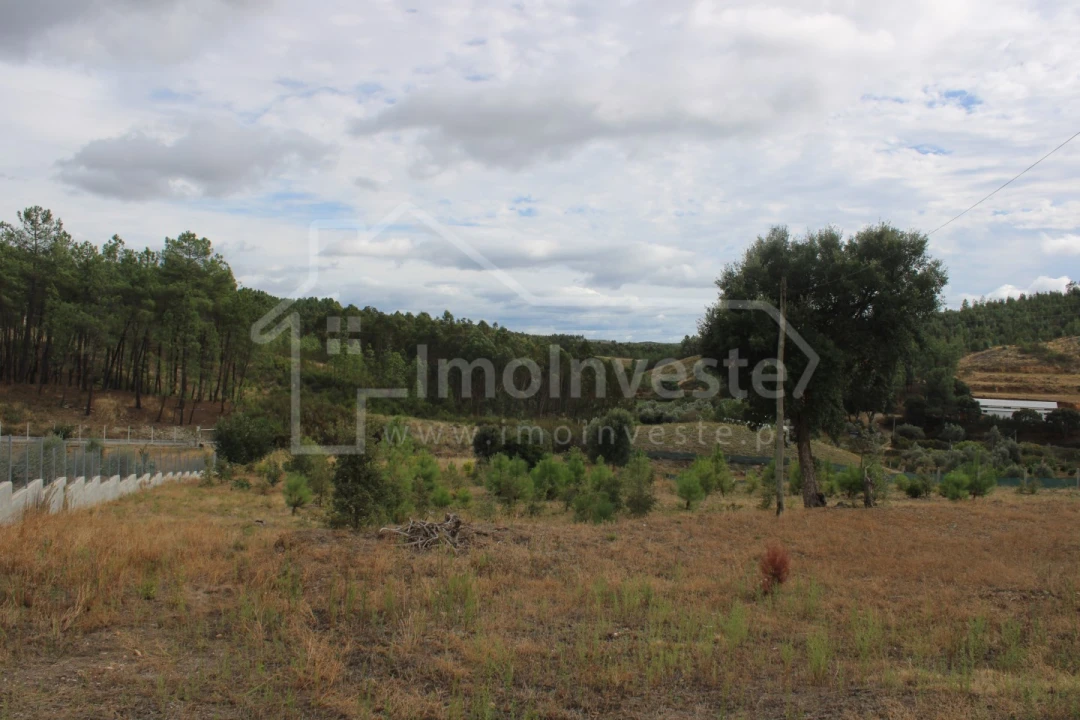 Terreno para Venda em São Vicente da Beira Foto 3