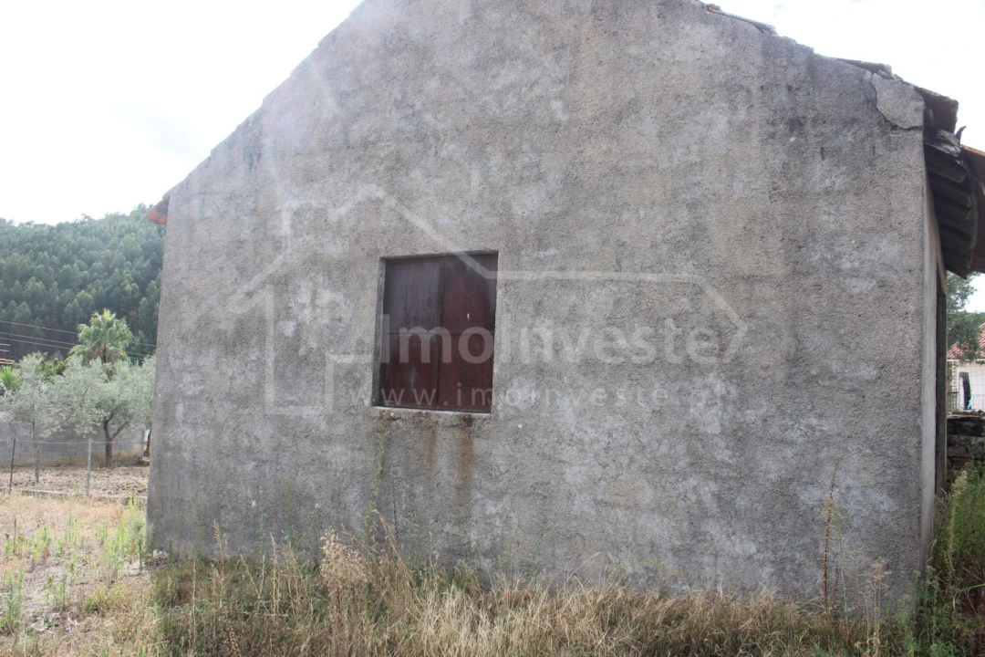 Terreno para Venda em São Vicente da Beira Foto 6