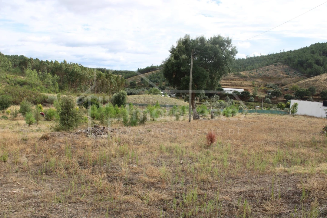 Terreno para Venda em São Vicente da Beira Foto 8