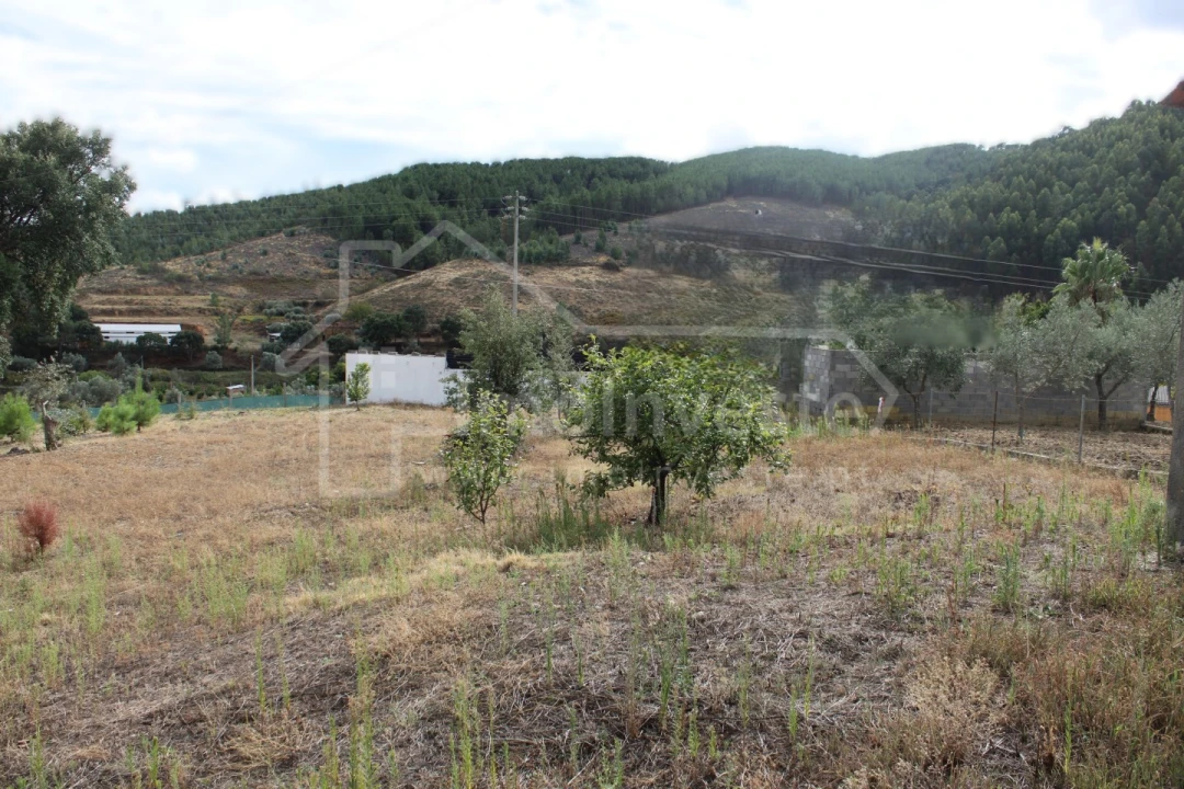 Terreno para Venda em São Vicente da Beira Foto 7