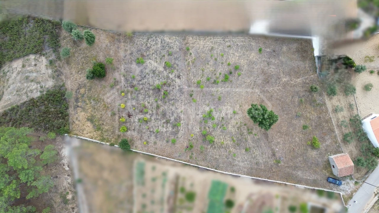 Terreno para Venda em São Vicente da Beira Foto 9