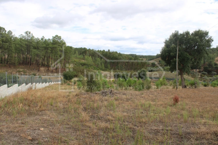Terreno para Venda em São Vicente da Beira Foto 4