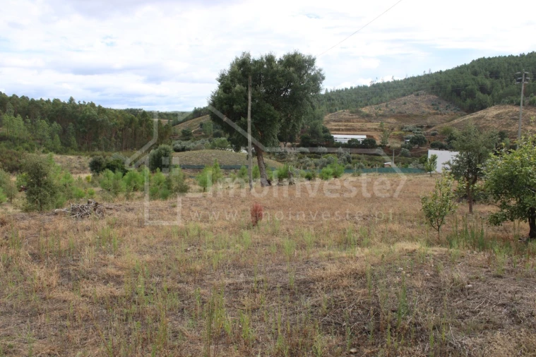 Terreno para Venda em São Vicente da Beira Foto 5