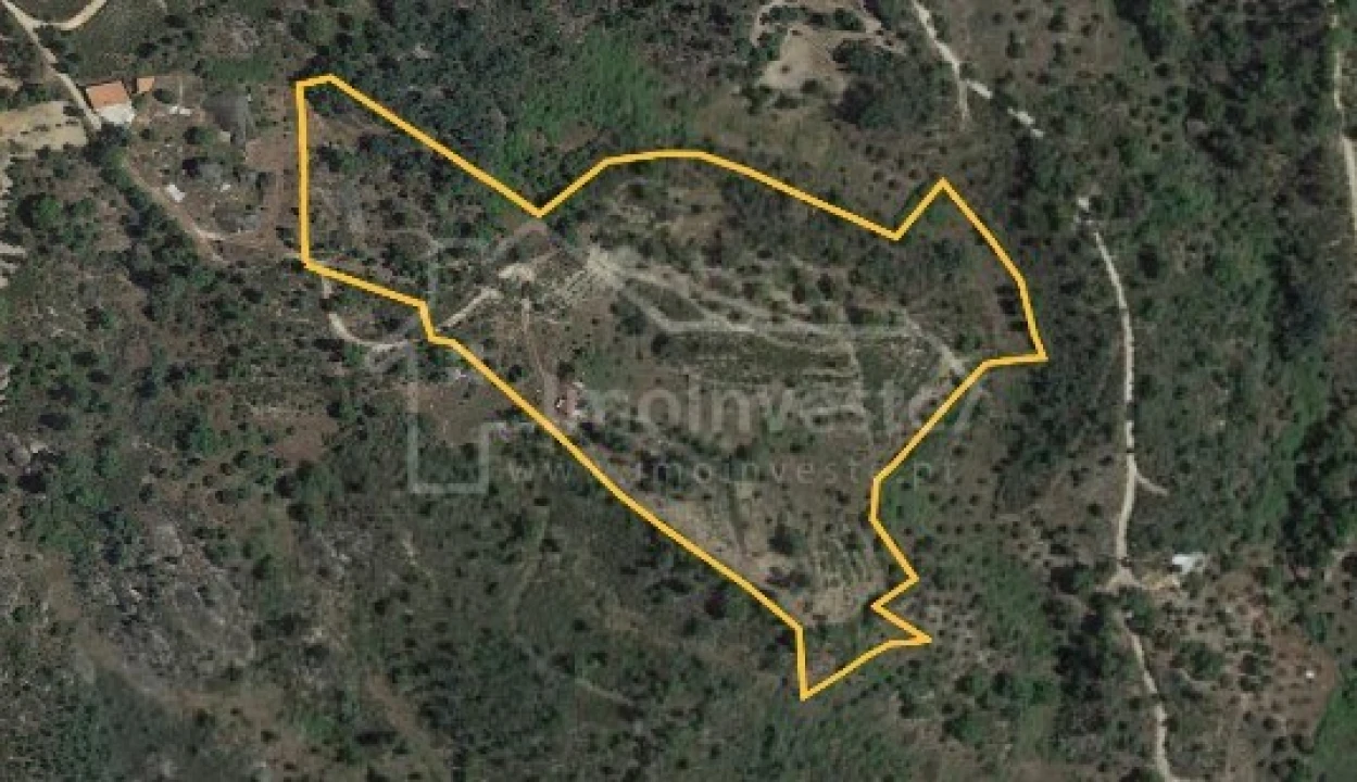 Terreno para Venda em Salgueiro do Campo Foto 1