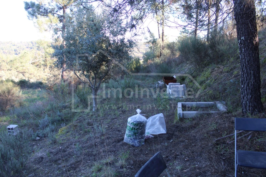 Terreno para Venda em Salgueiro do Campo Foto 7