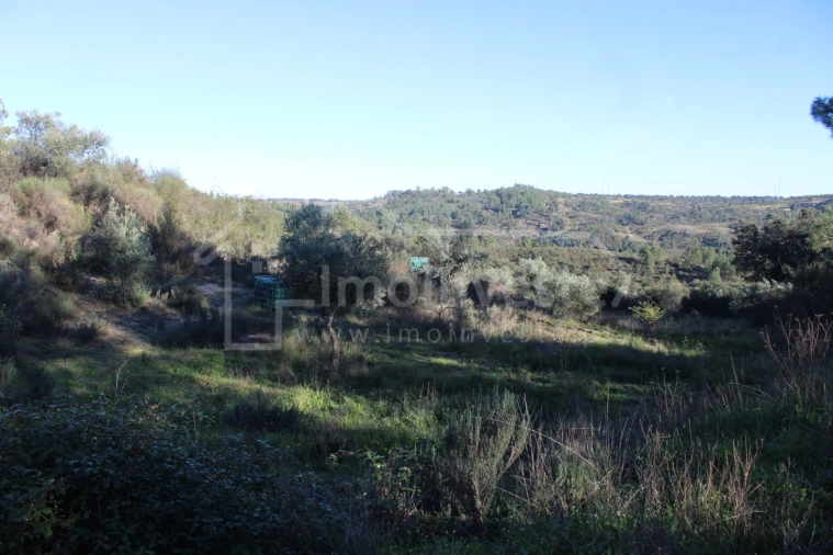 Terreno para Venda em Salgueiro do Campo Foto 6
