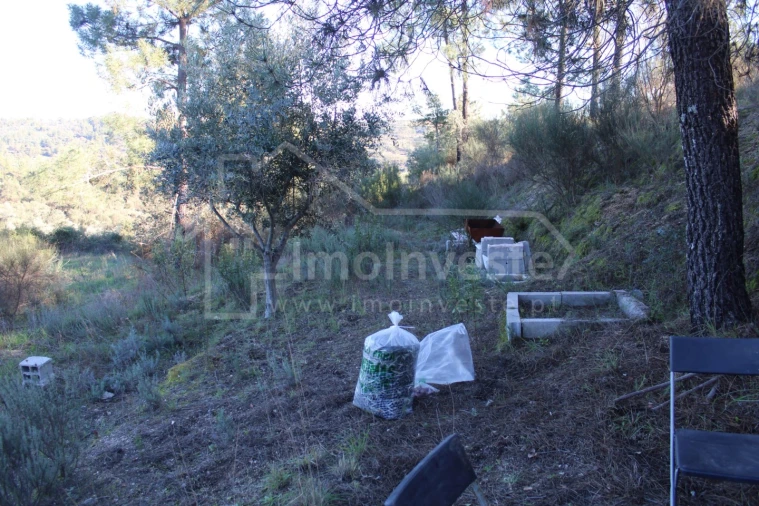 Terreno para Venda em Salgueiro do Campo Foto 7