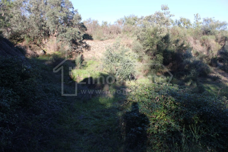 Terreno para Venda em Salgueiro do Campo Foto 8