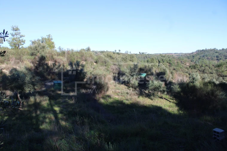 Terreno para Venda em Salgueiro do Campo Foto 9