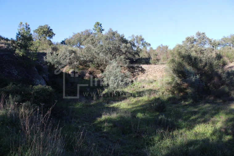 Terreno para Venda em Salgueiro do Campo Foto 11