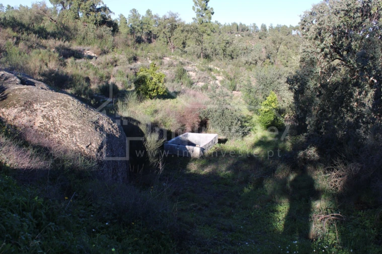 Terreno para Venda em Salgueiro do Campo Foto 19