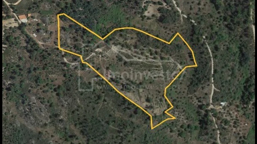 Terreno para Venda em Salgueiro do Campo
