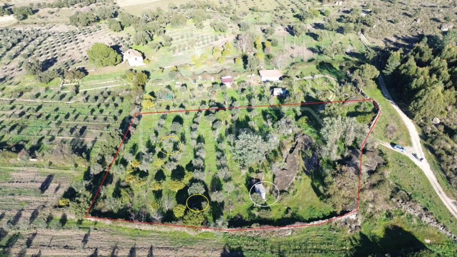 Terreno para Venda em Escalos de Baixo e Mata