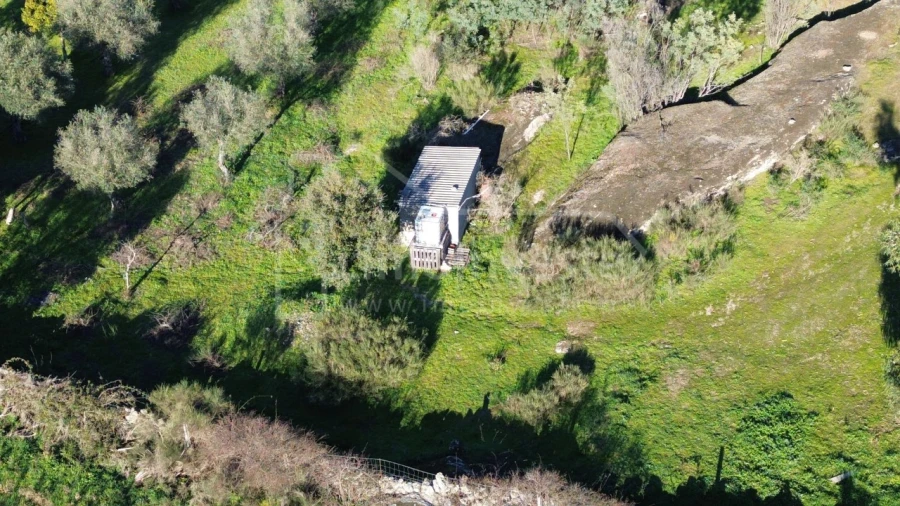 Terreno para Venda em Escalos de Baixo e Mata Foto 4