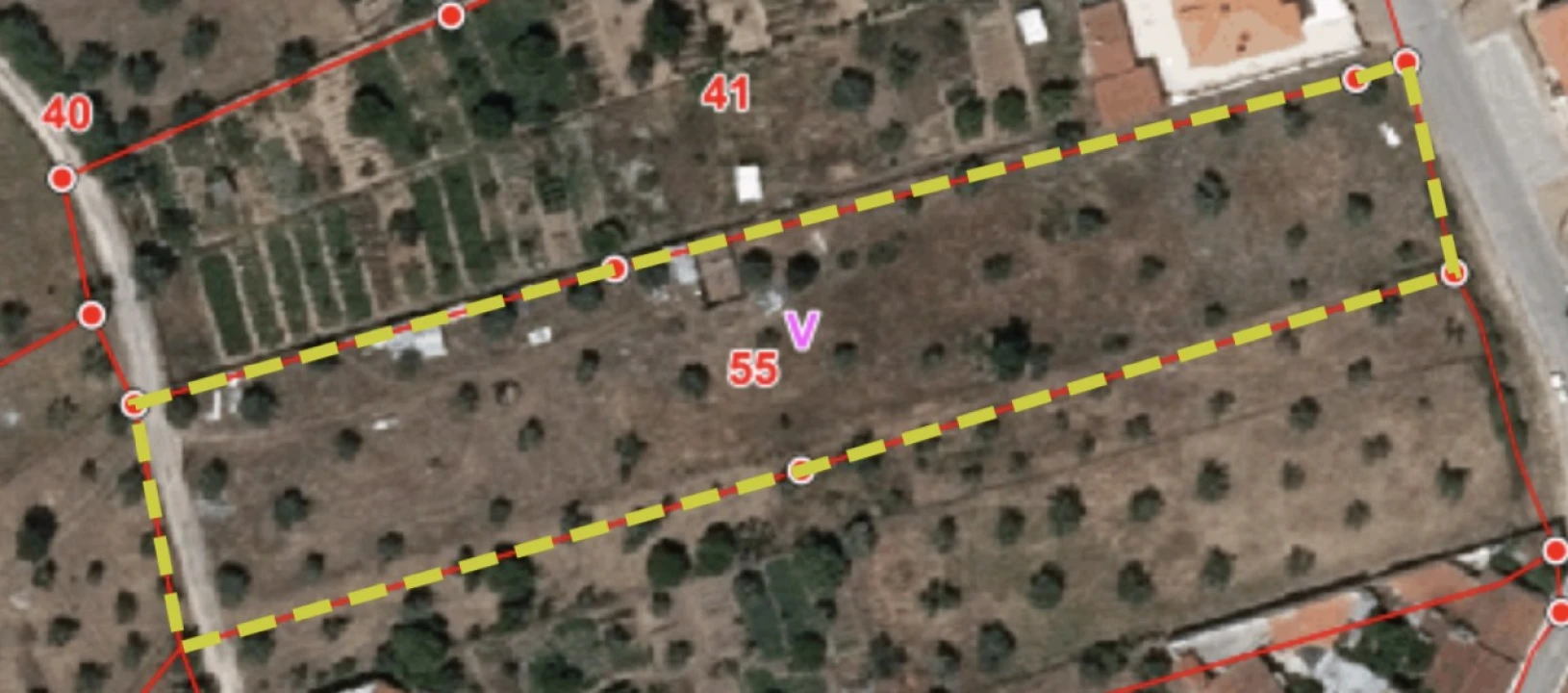 Terreno para Venda em São Miguel do Rio Torto e Rossio Ao Sul do Tejo Foto 7